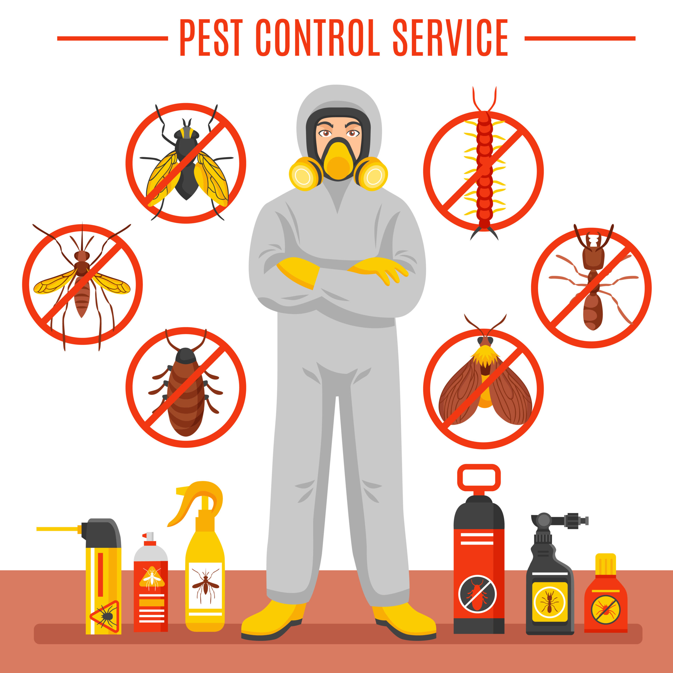 Local SEO Services for Pest Control Companies in Kolkata